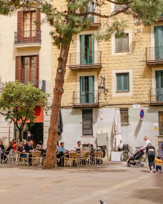 Una plaza con un pino y naranjos, y gente sentada en la terraza