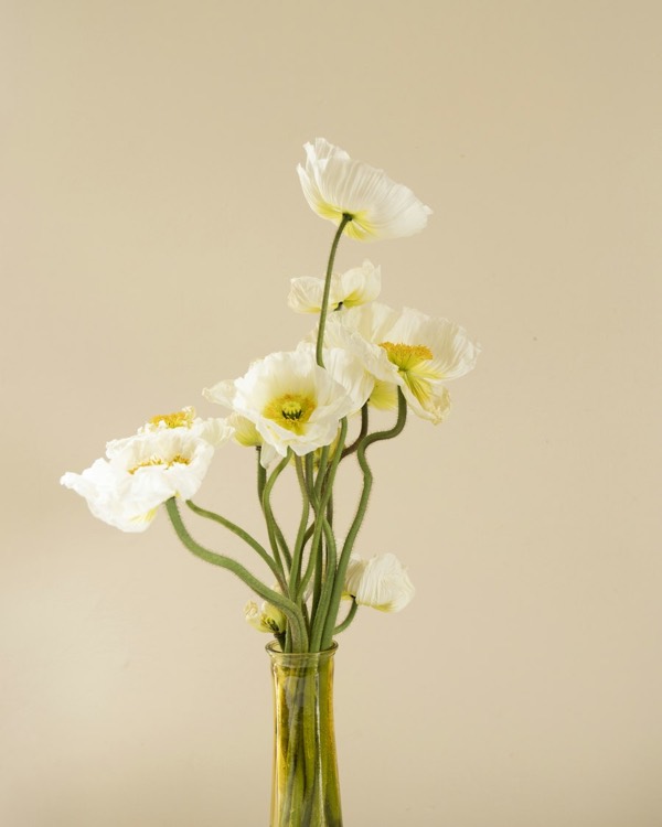 Amapolas blancas en un jarrón estrecho de cristal verde