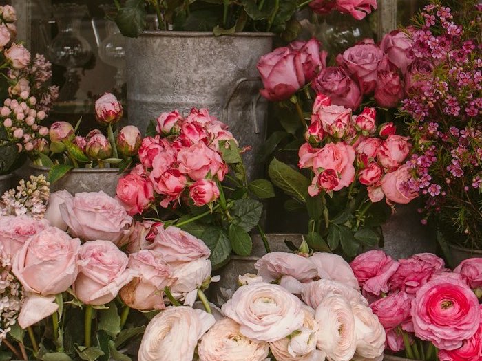 Rosas rosas en cubos de zinc, en la puerta de la tienda